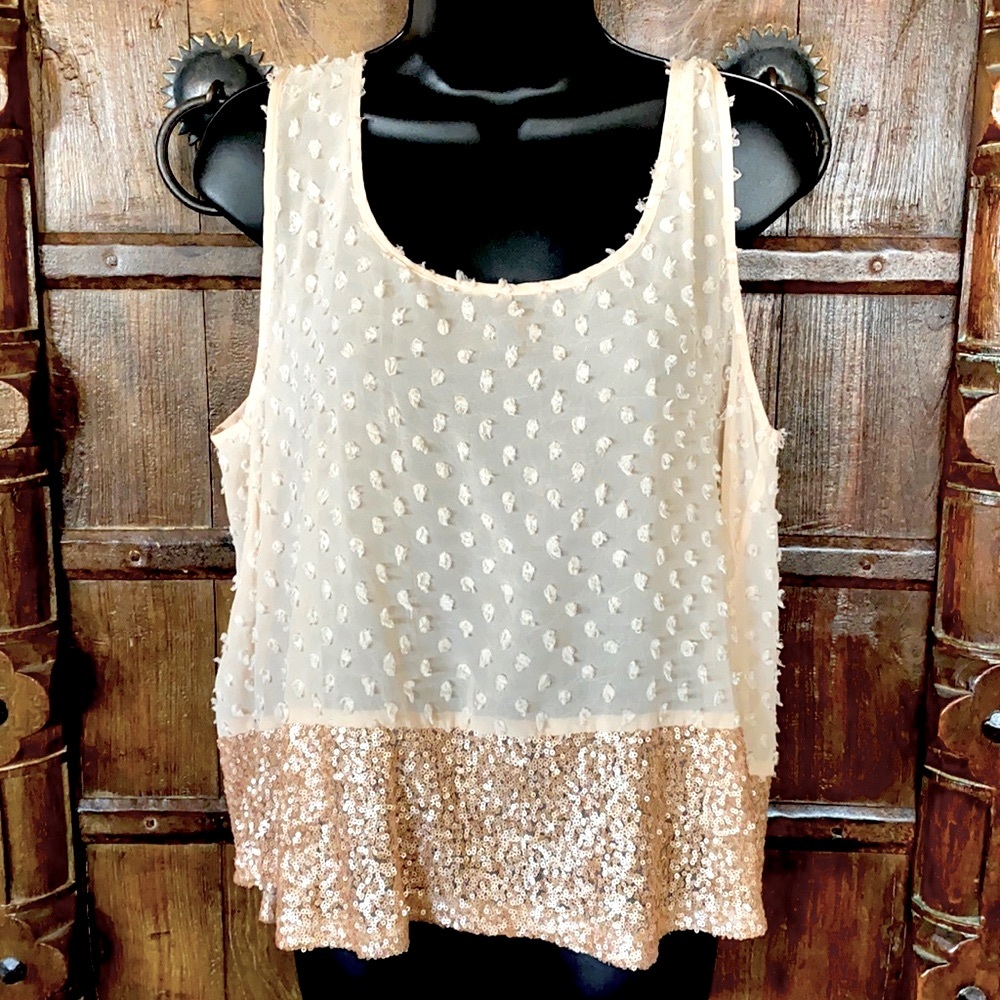 6 degrees Sheer and Sequins Sleeveless Adorable Blouse Size XL Cream